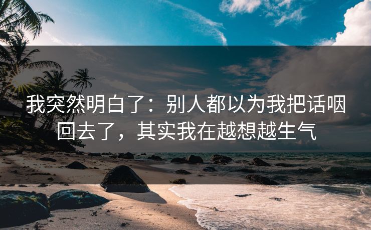 我突然明白了：别人都以为我把话咽回去了，其实我在越想越生气