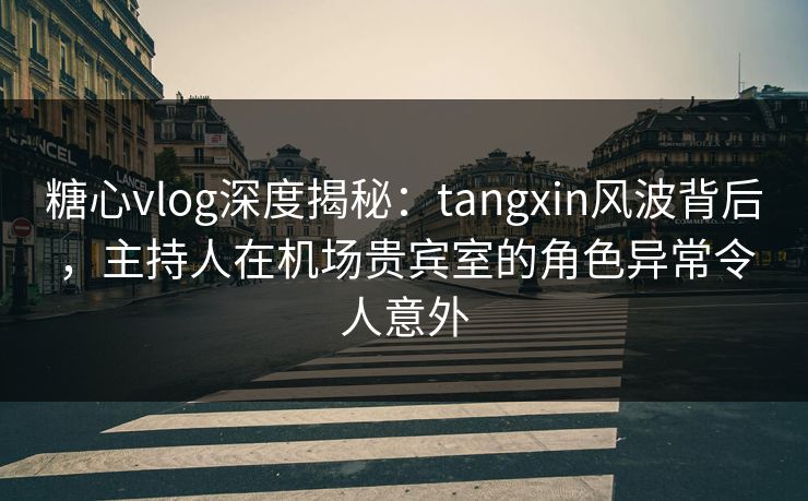 糖心vlog深度揭秘：tangxin风波背后，主持人在机场贵宾室的角色异常令人意外