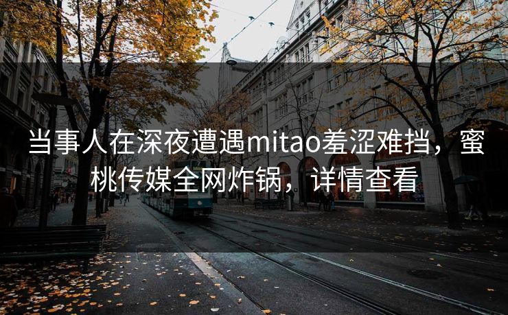 当事人在深夜遭遇mitao羞涩难挡，蜜桃传媒全网炸锅，详情查看